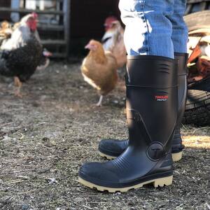 Tingley Profile® 15-9/10 in. Size 4 Mens/6 Womens Plastic and Rubber Boots in Dark Brown T5125404 at Pollardwater