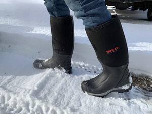 Tingley Badger Boots™ 17 in. Size 11 Mens/13 Womens Rubber Insulated Boots with Steel Plain Toe in Black T8015111 at Pollardwater