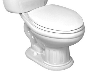 Briggs Plumbing Products Elongated Toilet Bowl In White 4355 130
