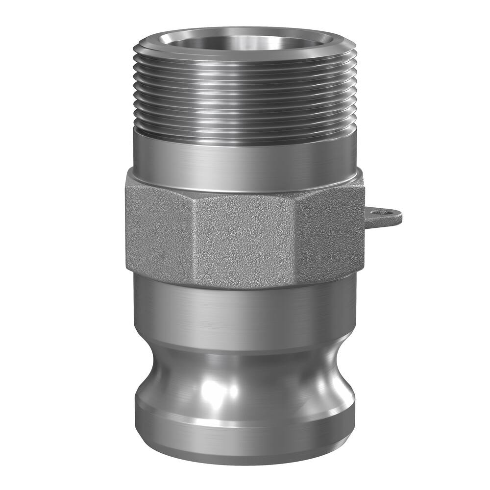 Male Adapter x MNPT Type F CF8M Stainless Steel
