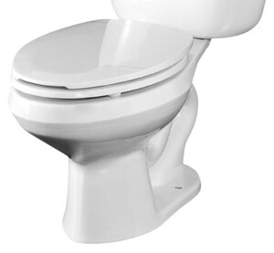 briggs 1.6 gpf toilet