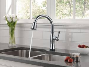 Delta Faucet Cassidy Single Handle Pull Down Kitchen Faucet In