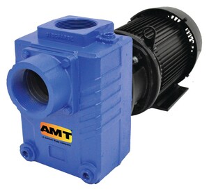 AMT 1HP 1PH 115/230V Stainless Steel Centrifical PUMP A282C98 at Pollardwater