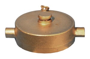 Dixon Valve & Coupling 6 in. Brass Pin Lug Cap with Chain NST DFC600F at Pollardwater