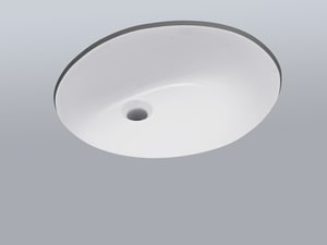 Signature Hardware Mangrove Undermount Bathroom Sink