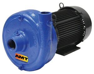AMT 5HP 3PH 230/460V Cast Iron Centrifical PUMP A420A95 at Pollardwater