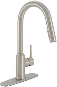 Proflo Loftus Series Single Handle Pull Down Kitchen Faucet In