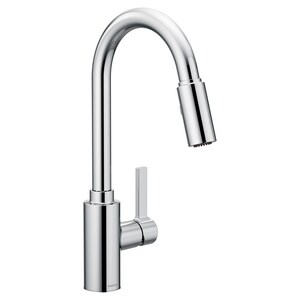 Proflo Single Handle Pull Out Kitchen Faucet With Two Function Spray In Polished Chrome Pfxc5150cp Ferguson