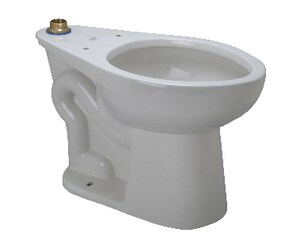 EcoVantage® Elongated Toilet Bowl in White