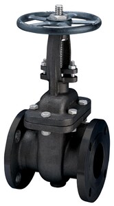 FNW® Figure 552 2 in. 300# RF FLG WCB T8 Gate Valve Carbon Steel Body, Trim 8, Bolted Bonnet FNW552K at Pollardwater