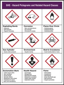 Accuform Signs 24 x 18 in. GHS Pictogram Poster APST153 at Pollardwater