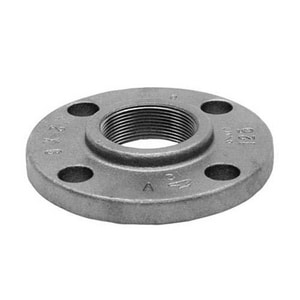 1 in. Threaded Cast Iron Companion Flange IGCICFG at Pollardwater