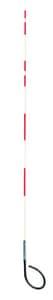 Ro Don Corporation Hydra-Finder™ 3/8 in. x 5 ft. Hydrant Marker in White and Red RHYDRAVIEW5RED at Pollardwater