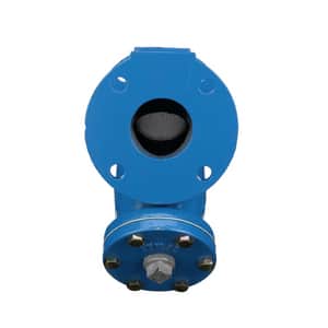 Zurn Wilkins Model FSC 2-1/2 in. Flange Ductile Iron Epoxy Coated Y-Strainer WFSCL at Pollardwater