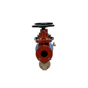 Zurn Wilkins 375A 3 in. Epoxy Coated Ductile Iron Flanged 175 psi Backflow Preventer W375AM at Pollardwater