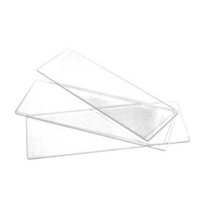 Walter Products Plain Glass Microscope Slide (Pack of 72) T1140B06 at Pollardwater