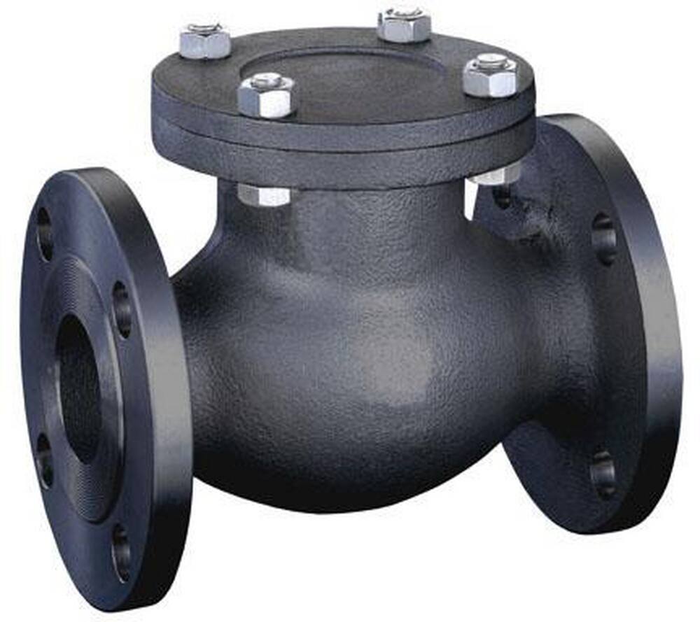 <strong>Figure 572</strong><br />Carbon Steel Flanged Swing Check Valve