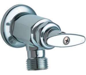 Chicago Faucet Single Cross Handle Wall Mount Service Faucet In