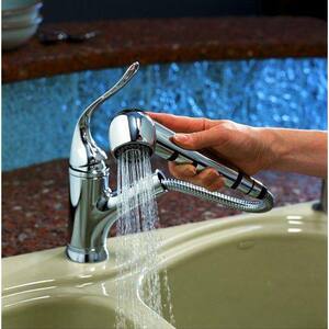 Kohler Coralais Single Handle Pull Out Kitchen Faucet In Biscuit