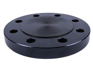 4 in. 300# CS A105 RF Blind Flange Forged Steel Raised Face