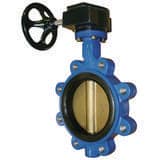 FNW® 800 Series 8 in. Ductile Iron Buna Gear Operated Lug Butterfly Valve FNW812BGX at Pollardwater