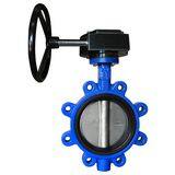 FNW® 800 Series 10 in. Ductile Iron FKM Gear Operated Lug Butterfly Valve FNW832VG10 at Pollardwater