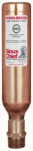 1 in. Copper MIPT Water Hammer Arrestor