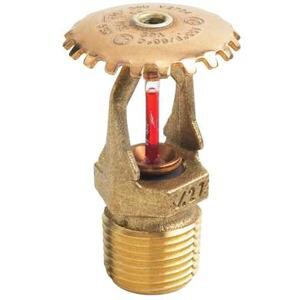 1/2 in. 155F 5.6K Quick Response and Upright Sprinkler Head in Brass