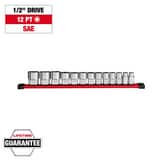 Milwaukee® *CVR* 13PC 1/2? DRIVE 12-POINT SAE M48229422 at Pollardwater