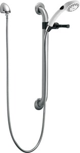 Dual Function Hand Shower in Stainless with White