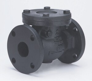 4 in. Cast Iron Flanged Swing Check Valve