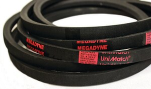 22 x 0.3125 in. Belt