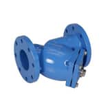 Watts 77F-DI-FDA-125 4 in. Flange 1/8 in. Perforated Screen Cast Iron Epoxy Coated Y-Strainer W77FDIFDA125P at Pollardwater