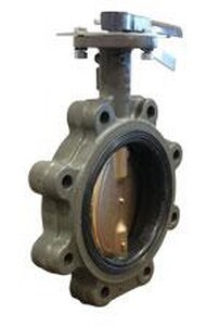 2-1/2 in. Cast Iron EPDM Lever Handle Butterfly Valve