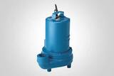 Barnes Pumps Series STEP-SS 120V 1/2 hp FNPT Cast Iron Manual Effluent Pump with 15 ft. Cord BSTEP512SS at Pollardwater