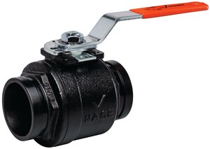2 in. Ductile Iron Standard Port Grooved 1000# Ball Valve