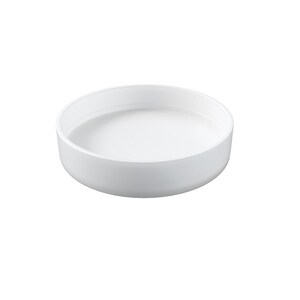 1-1/2 in. PVC DWV Test Cap in White