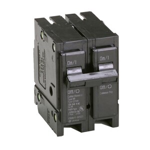 100A 2-Pole Circuit Breaker
