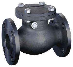 4 in. 150# RF FLG WCB T8 Swing Check Valve Carbon Steel Body, Trim 8, Bolted Cover