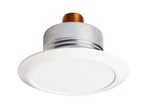 NPT Painted Beryllium Nickel, Brass, Bronze, Ductile Iron and Stainless Steel Concealed Cover in White Paint