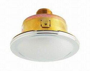 NPT Painted Concealed Cover Plate in White