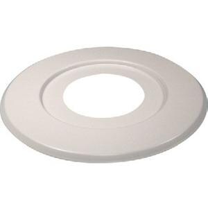 5 x 1/2 in. NPT Cold Rolled Steel Expansion Plate in White Paint