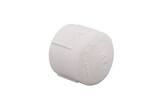3 in. PVC Schedule 40 FPT Cap P40TCAPM at Pollardwater