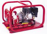 Rice Hydro EL 110/220V 1/2 hp 3 gpm Hydrostatic Test Pump REL1 at Pollardwater