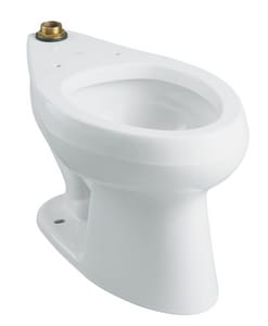 ferguson toilets kohler