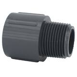 Socket Weld x MPT PVC Adapter P80SMAG at Pollardwater