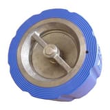 FNW® Figure 681 10 in. Cast Iron Silent Wafer Style Check Valve FNW68110 at Pollardwater