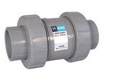 Hayward TC Series 1-1/4 in. Plastic FNPT x Socket Weld Ball Check Valve HTC10125STE at Pollardwater