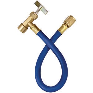 9 in. Hose and Valve