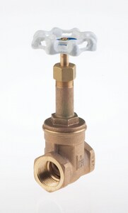 1/2 in. Bronze Threaded Gate Valve